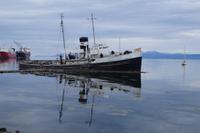 Wrack im Hafen von Ushuaia