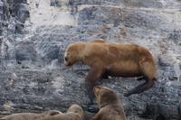 Wanderung über den Felsen 