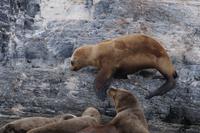 Wanderung über den Felsen 