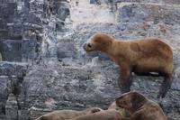 Wanderung über den Felsen 