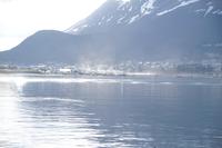 Verdunstungsnebel - Ushuaia nach dem Regen 
