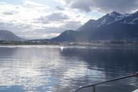 Verdunstungsnebel - Ushuaia nach dem Regen 