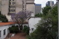 Das Cabildo und seine Umgebung