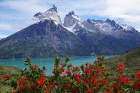 Farbenspiel mit Notro, Nordenskjöld-See vor den Torres del Paine und schleierbewölktem Himmel