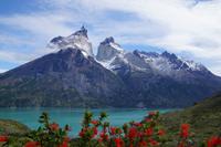 Farbenspiel mit Notro, Nordenskjöld-See vor den Torres del Paine und schleierbewölktem Himmel