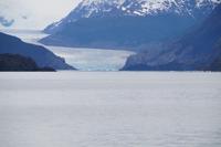Grey-Gletscher 