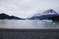 Grey Gletscher und abgekalbte Eisschollen