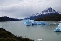 Lago Grey 