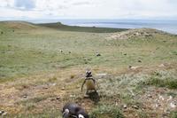 Bruthöhle mit Aussicht