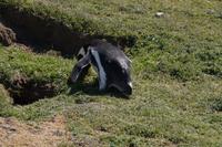 Und ab in die Höhle 
