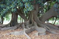 Stadtrundfahrt in Buenos Aires