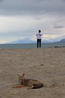 Auf dem Weg nach El Chalten