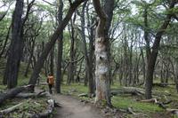 Wanderung zur Laguna de los Tres mit Fitz Roy in El Chalten