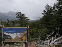 Wanderung zur Laguna Torre im Nationalpark Los Glaciares in El Chalten