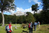 Ausflug zum Wüstensee Lago del Desierto mit Wanderung am Huemul-Gletscher bei El Chalten