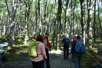 Ausflug zum Wüstensee Lago del Desierto mit Wanderung am Huemul-Gletscher bei El Chalten