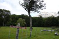 Ausflug zum Wüstensee Lago del Desierto mit Wanderung am Huemul-Gletscher