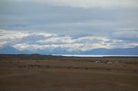 Fahrt nach El Calafate