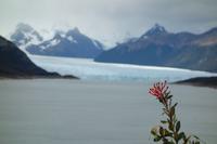 Ausflug zum Perito Moreno-Gletscher mit Bootsfahrt