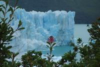 Ausflug zum Perito Moreno-Gletscher mit Bootsfahrt