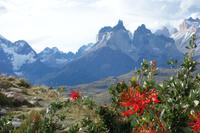 Torres del Paine Nationalpark in Chile