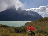 Wanderung zum Aussichtspunkt Los Cuernos in Torres del Paine Nationalpark in Chile