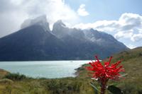 Torres del Paine Nationalpark in Chile