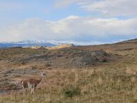 Torres del Paine Nationalpark in Chile