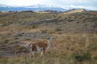 Wanderung zum Aussichtspunkt de las Torres in Torres del Paine Nationalpark in Chile