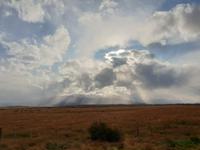 Fahrt nach Puerto Natales