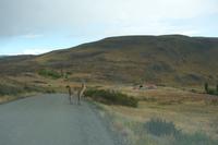 Wanderung zum Aussichtspunkt de las Torres in Torres del Paine Nationalpark in Chile