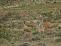 Wanderung zum Aussichtspunkt de las Torres in Torres del Paine Nationalpark in Chile
