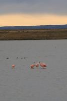 Fahrt nach Punta Arenas