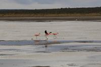 Fahrt nach Punta Arenas