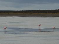 Fahrt nach Punta Arenas