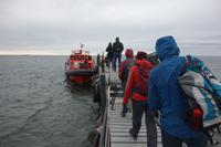 Insel Magdalena, das Zuhause von zigtausenden Pinguinen