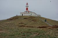 Insel Magdalena, das Zuhause von zigtausenden Pinguinen