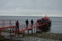 Insel Magdalena, das Zuhause von zigtausenden Pinguinen