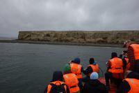 Insel Magdalena, das Zuhause von zigtausenden Pinguinen