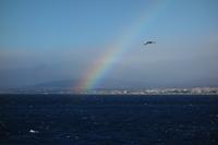 Fähre über die Magellanstraße auf die Insel Feuerland