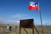 Köningspinguine in Feuerland