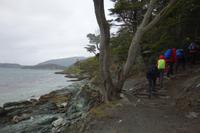 Wanderung am Beagle-Kanal im Feuerland-Nationalpark in Usuahia