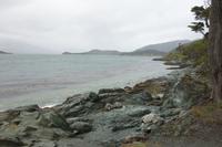 Wanderung am Beagle-Kanal im Feuerland-Nationalpark in Usuahia