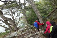 Wanderung am Beagle-Kanal im Feuerland-Nationalpark in Usuahia