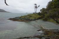 Wanderung am Beagle-Kanal im Feuerland-Nationalpark in Usuahia