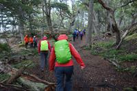 Wanderung am Beagle-Kanal im Feuerland-Nationalpark in Usuahia