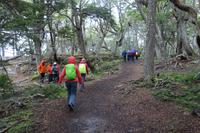 Wanderung am Beagle-Kanal im Feuerland-Nationalpark in Usuahia
