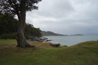 Wanderung am Beagle-Kanal im Feuerland-Nationalpark in Usuahia