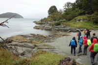 Wanderung am Beagle-Kanal im Feuerland-Nationalpark in Usuahia
