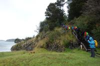Wanderung am Beagle-Kanal im Feuerland-Nationalpark in Usuahia